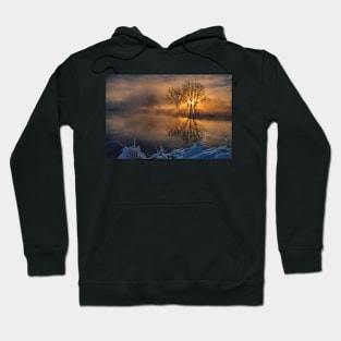 Good Morning Starshine Hoodie